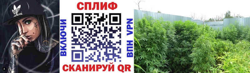 Купить где  Алапаевск  Конопля LSD WEED 